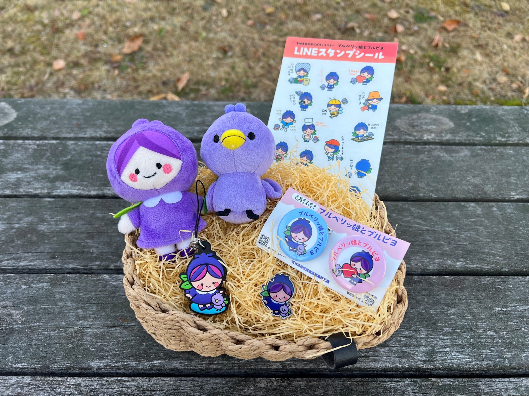 ブルベリッ娘とブルピヨ グッズ