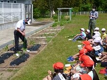 なりひが日記 9 えだまめ栽培 ２年 富谷市ホームページ