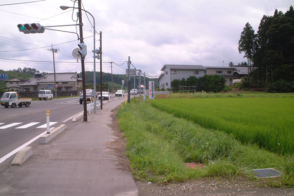 白鳥遺跡