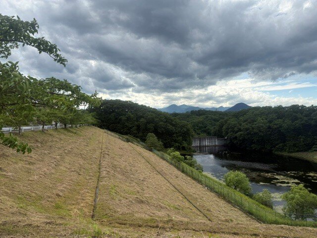 公共緑地刈払写真.jpg