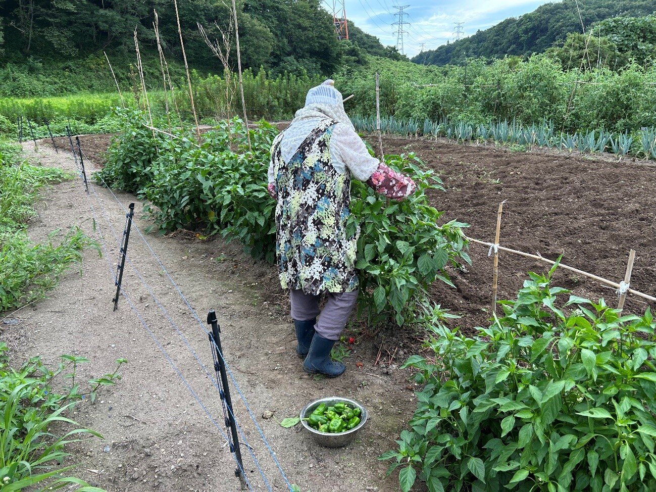 画像2.jpg