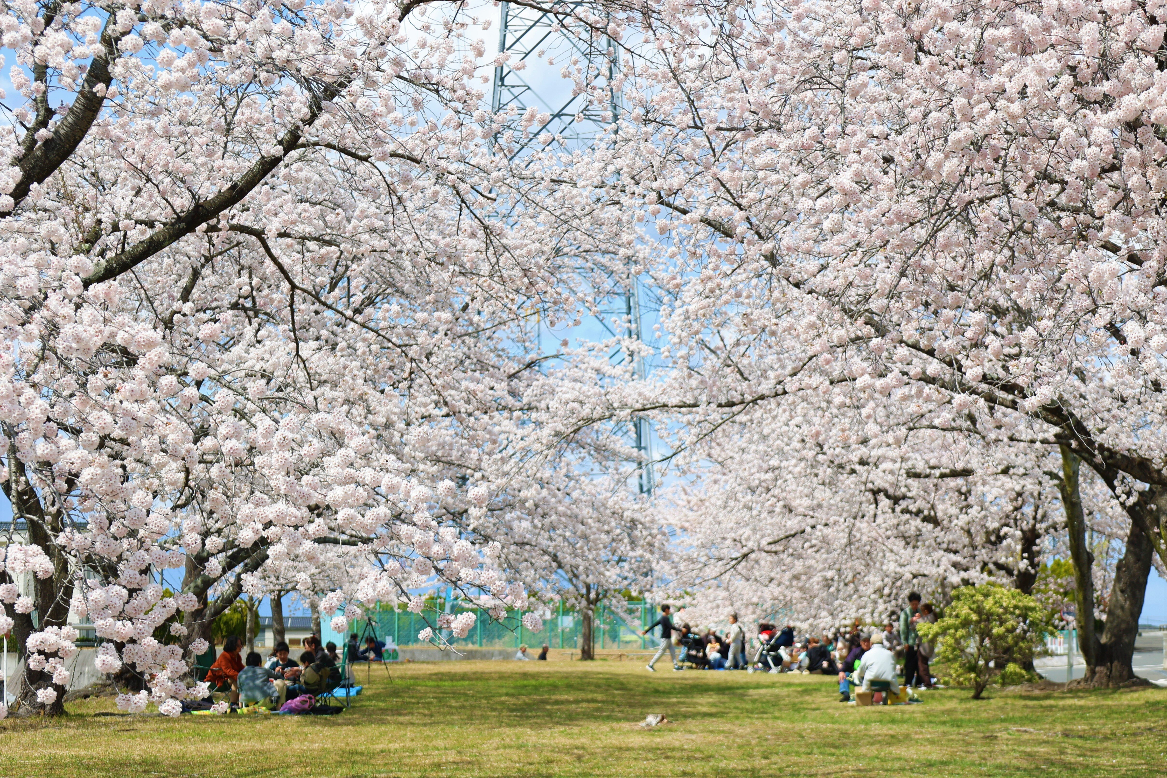 ライフギャラリー