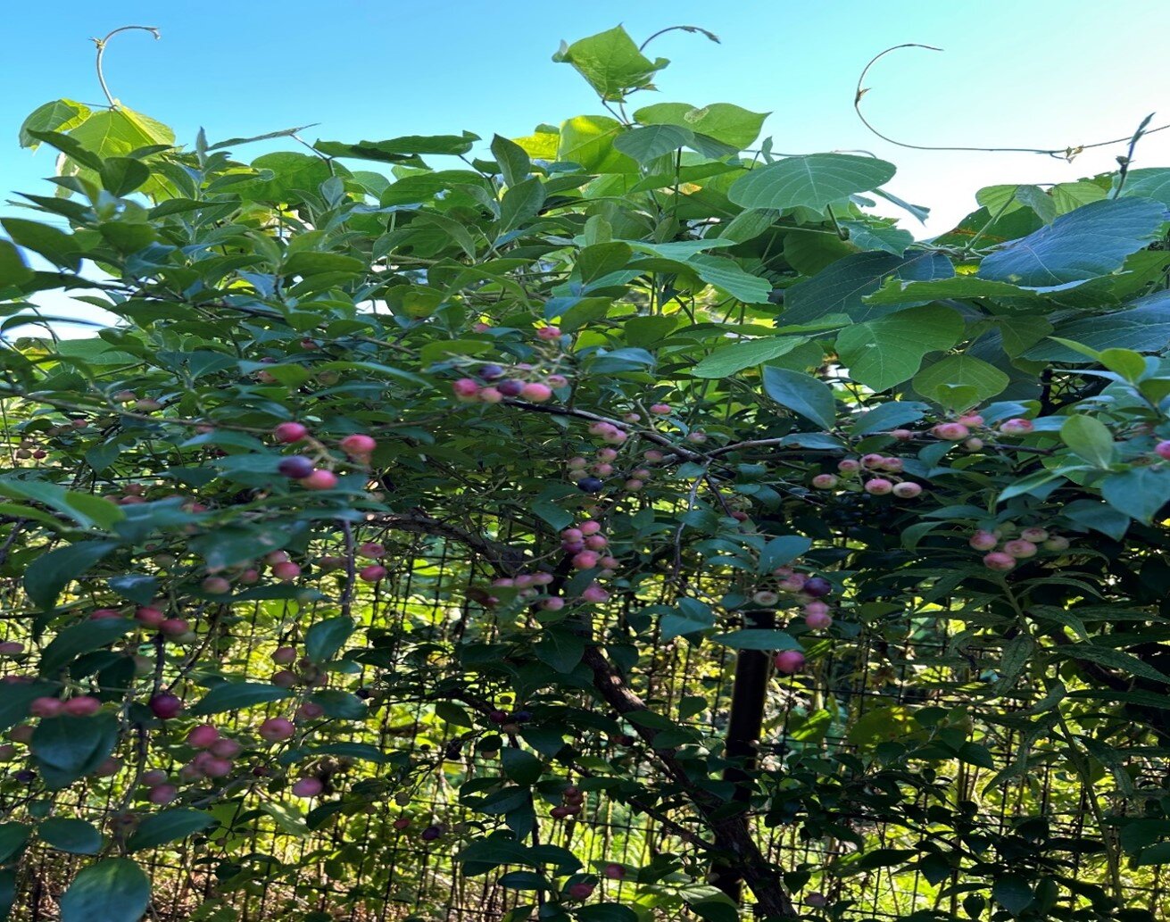 画像4.jpg
